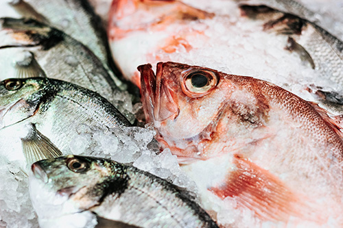 Poissonnerie à Villefranche (69)