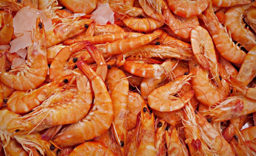 Crevettes